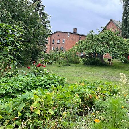 Appartement Alte Baeckerei Gnade Auf Ruegen à Sehlen Extérieur photo