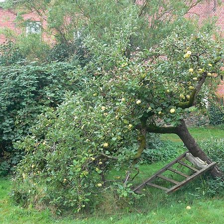 Appartement Alte Baeckerei Gnade Auf Ruegen à Sehlen Extérieur photo