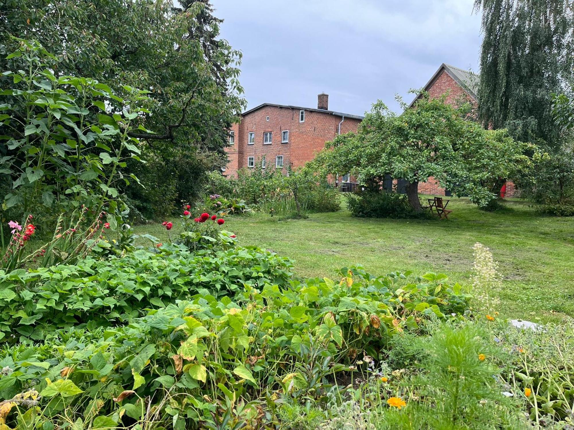 Appartement Alte Baeckerei Gnade Auf Ruegen à Sehlen Extérieur photo