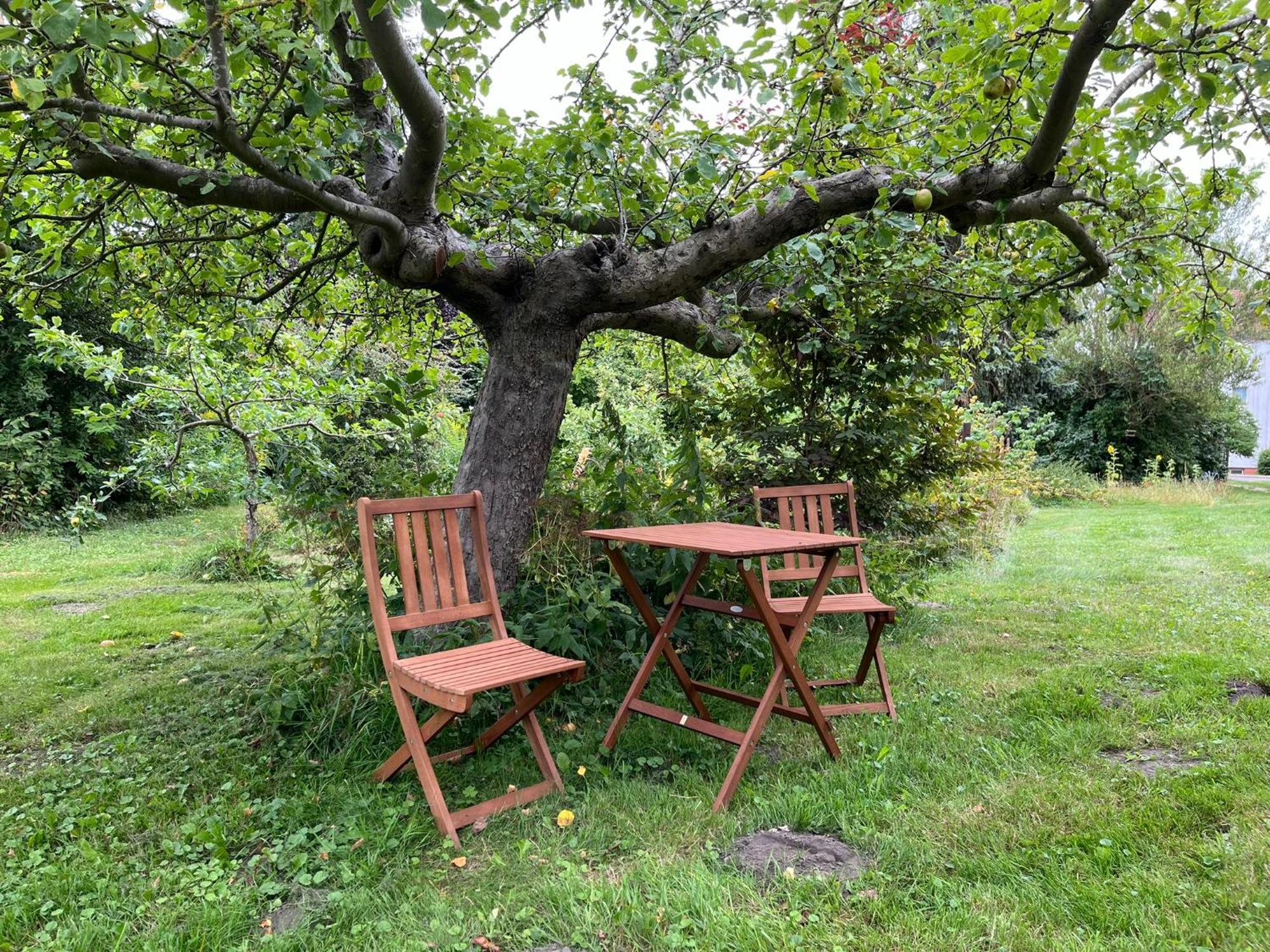 Appartement Alte Baeckerei Gnade Auf Ruegen à Sehlen Extérieur photo